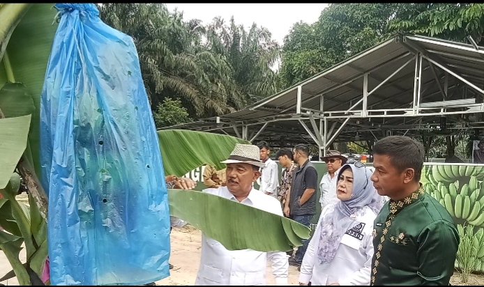 Bupati Ahmad Yuzar Apresiasi Jefry Noer Terus Menginspirasi Masyarakat Untuk Menghasilkan Produk Pertanian dan Pangan Berkualitas